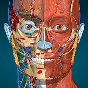 Anatomy Learning MOD icon